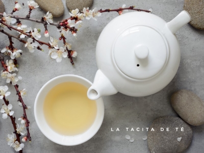 Descubre las propiedades del té blanco